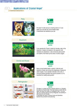 Load image into Gallery viewer, Crystal Angel® Steriliser &amp; Ioniser (Air &amp; Water Mgmt System)  臭氧杀菌离子器